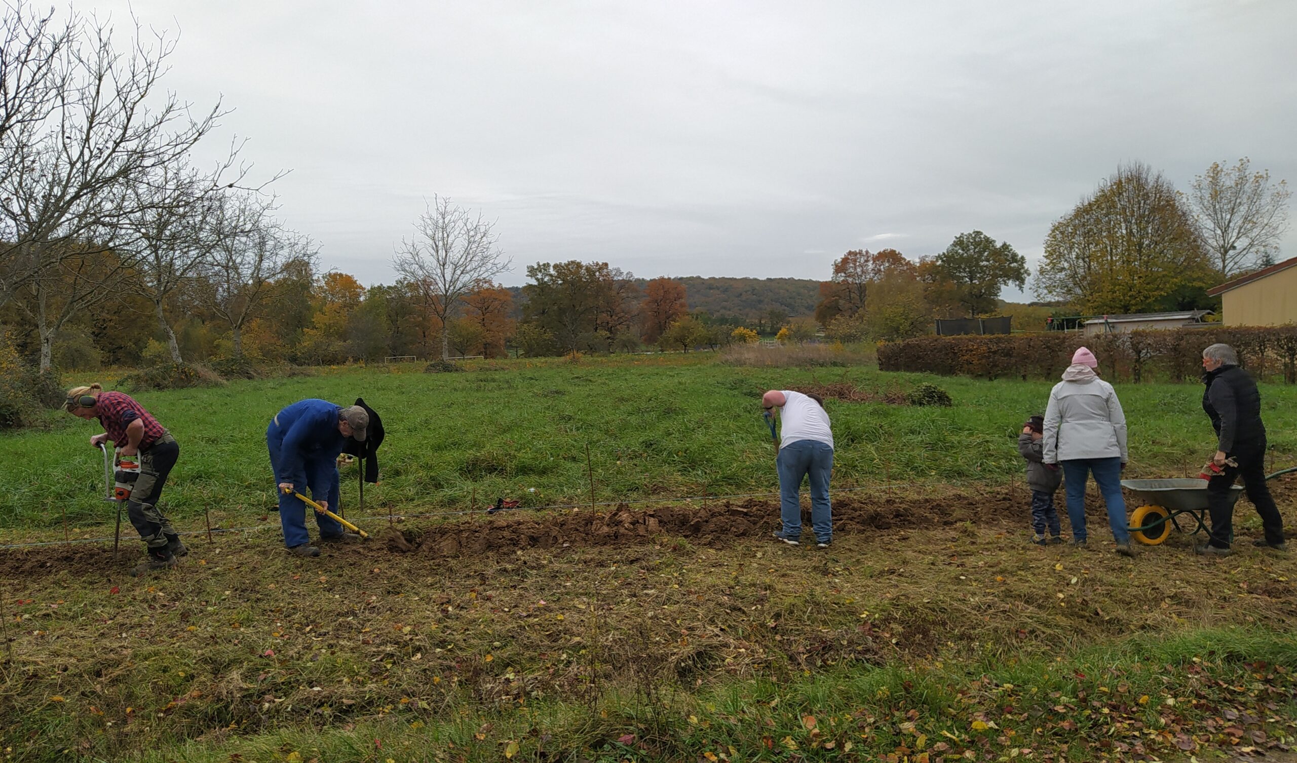 plantation haie