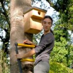 Inspection et pose nichoirs