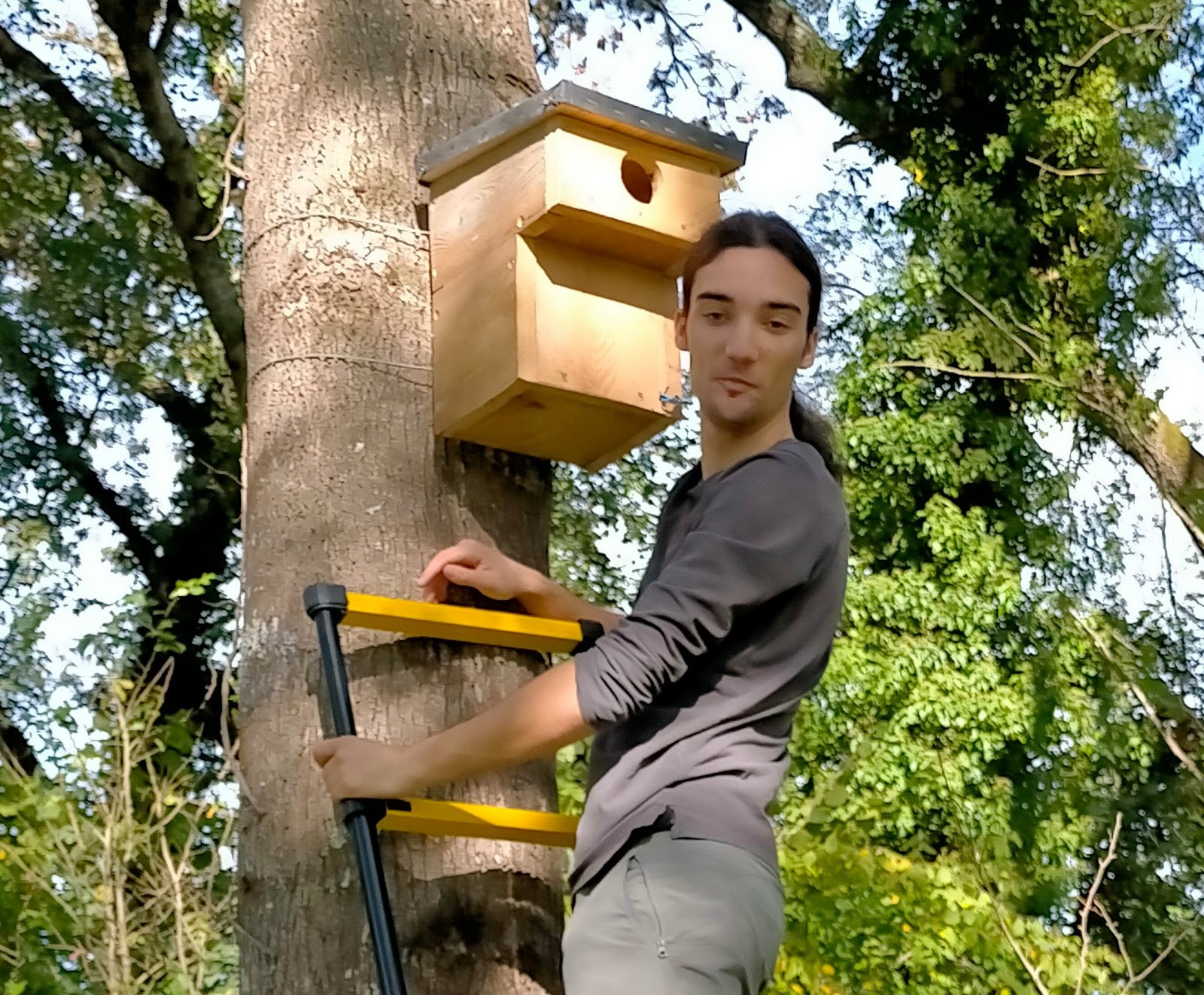 Inspection et pose nichoirs